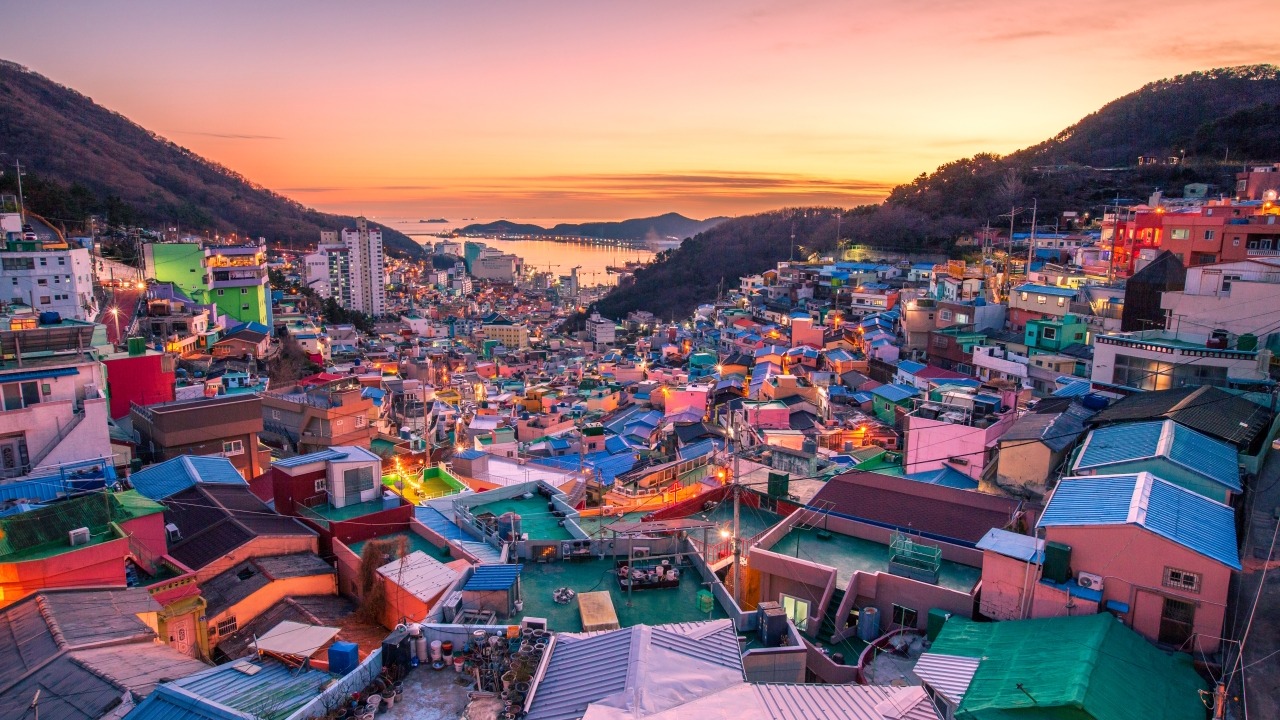 HÀ NỘI – BUSAN -SEOUL– ĐẢO NAMI – INCHEON- THƯ VIỆN SÁCH- ĐI PHÀ CHO HẢI ÂU ĂN 6N5Đ - Image - 13153