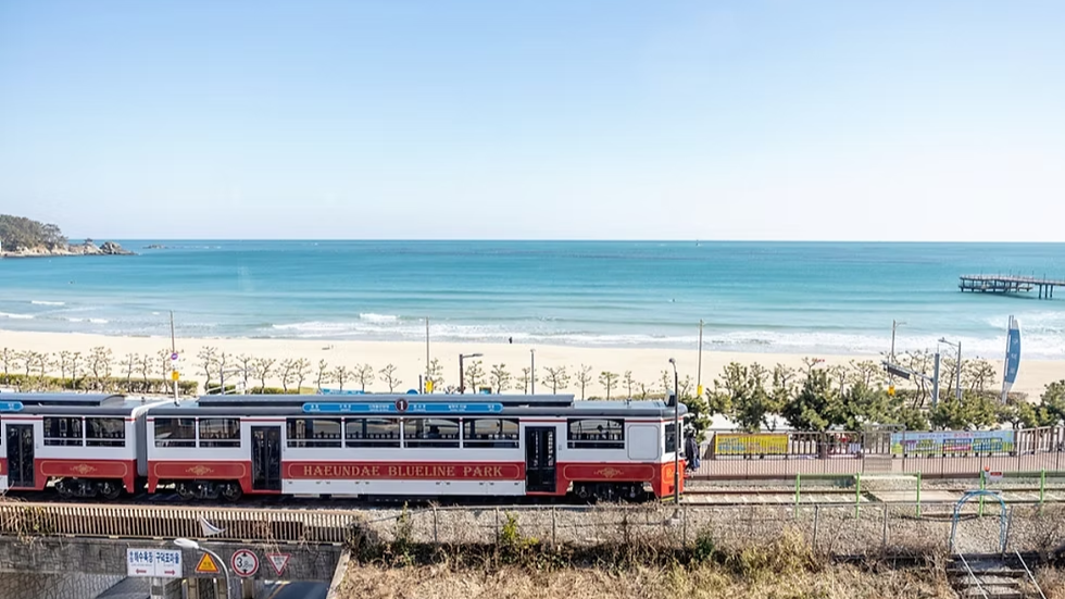 [HÀN QUỐC NO SHOP 5N4Đ] BUSAN – JEJU - HÀ NỘI | BẢN TÌNH CA HÈ - Image - 14785