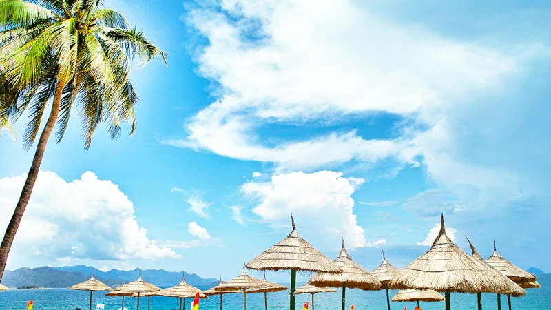 HÀ NỘI - NHA TRANG - NINH THUẬN - HÀ NỘI [4N3Đ] - Image - 14349