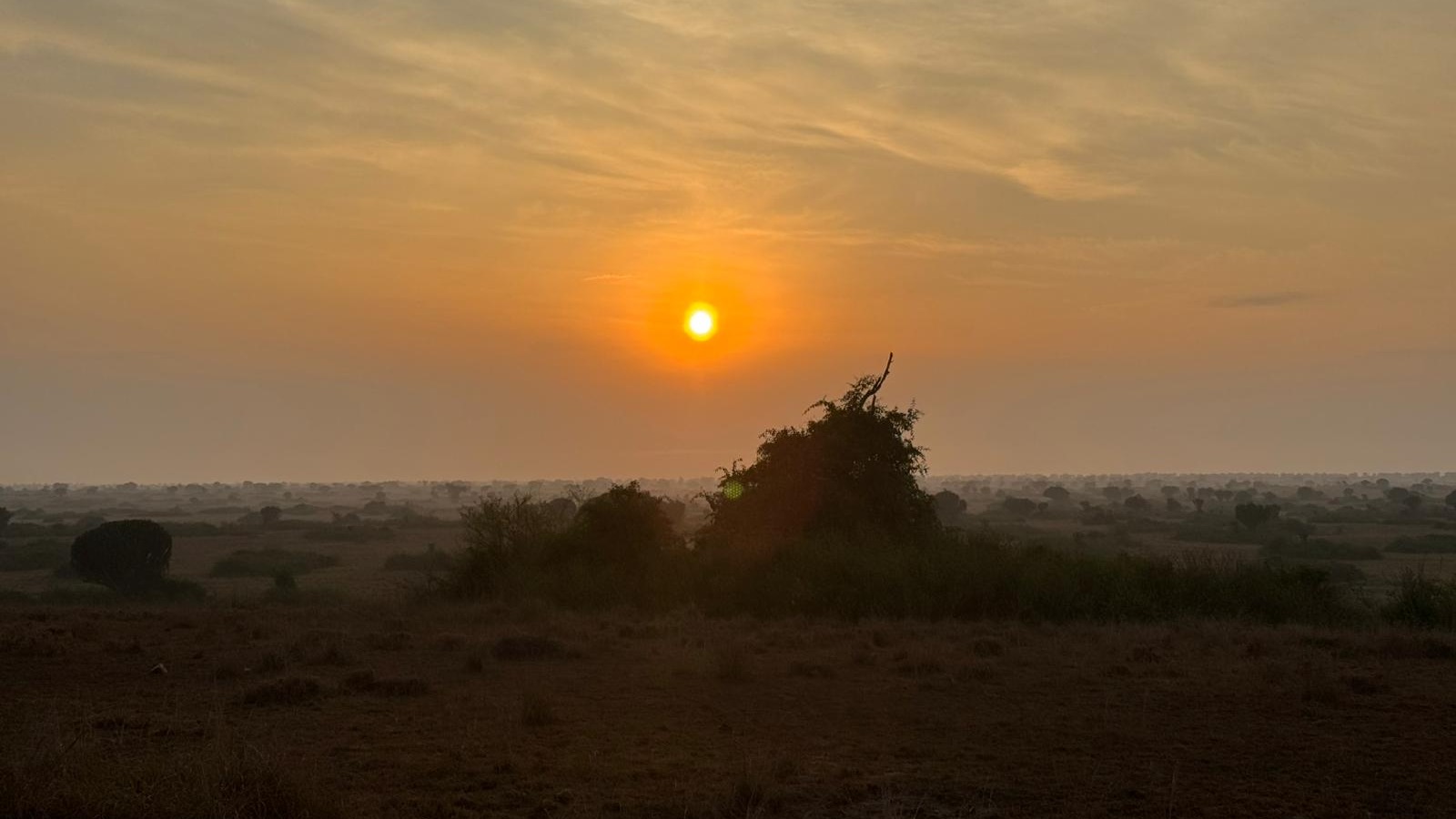 3-Day Lake Mburo Safari - Image - 13646
