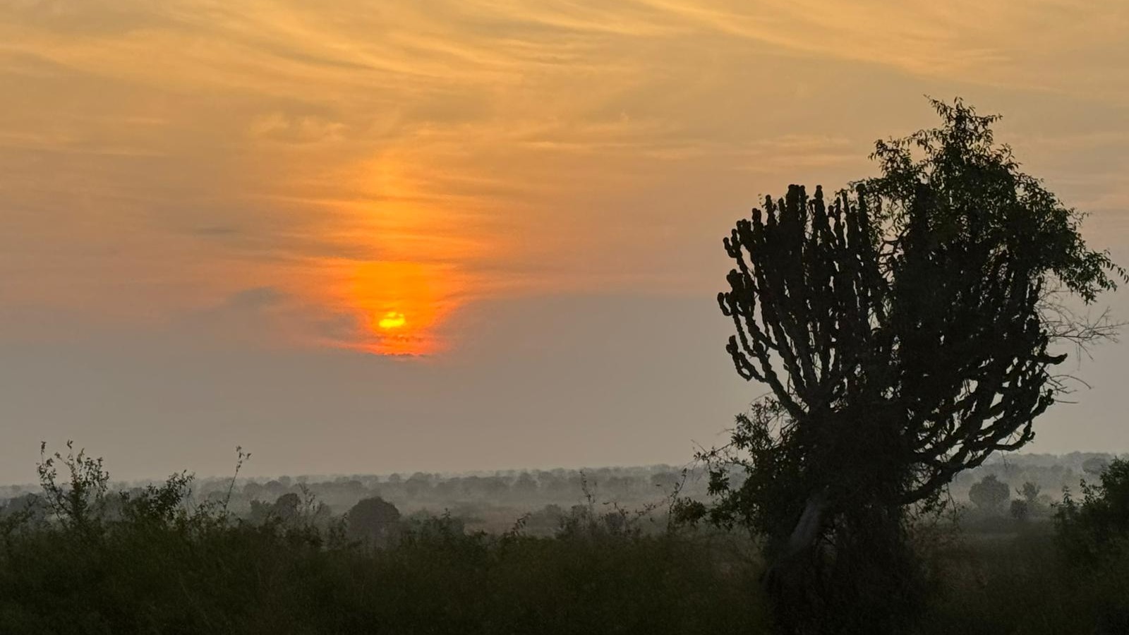 10 Day Uganda’s Best: Gorillas, Chimps, Big Game &amp; Shoebill Safari - Image - 14425