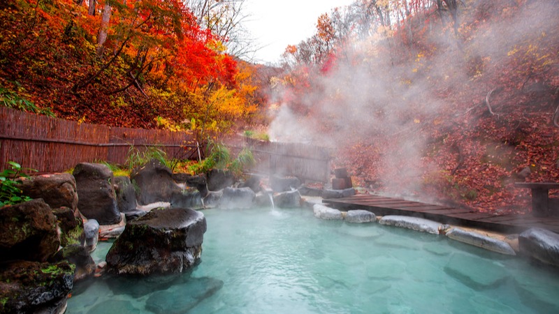 ASAHIKAWA – FURANO – JOZANKEI OTARU - SAPPORO - Image - 13630