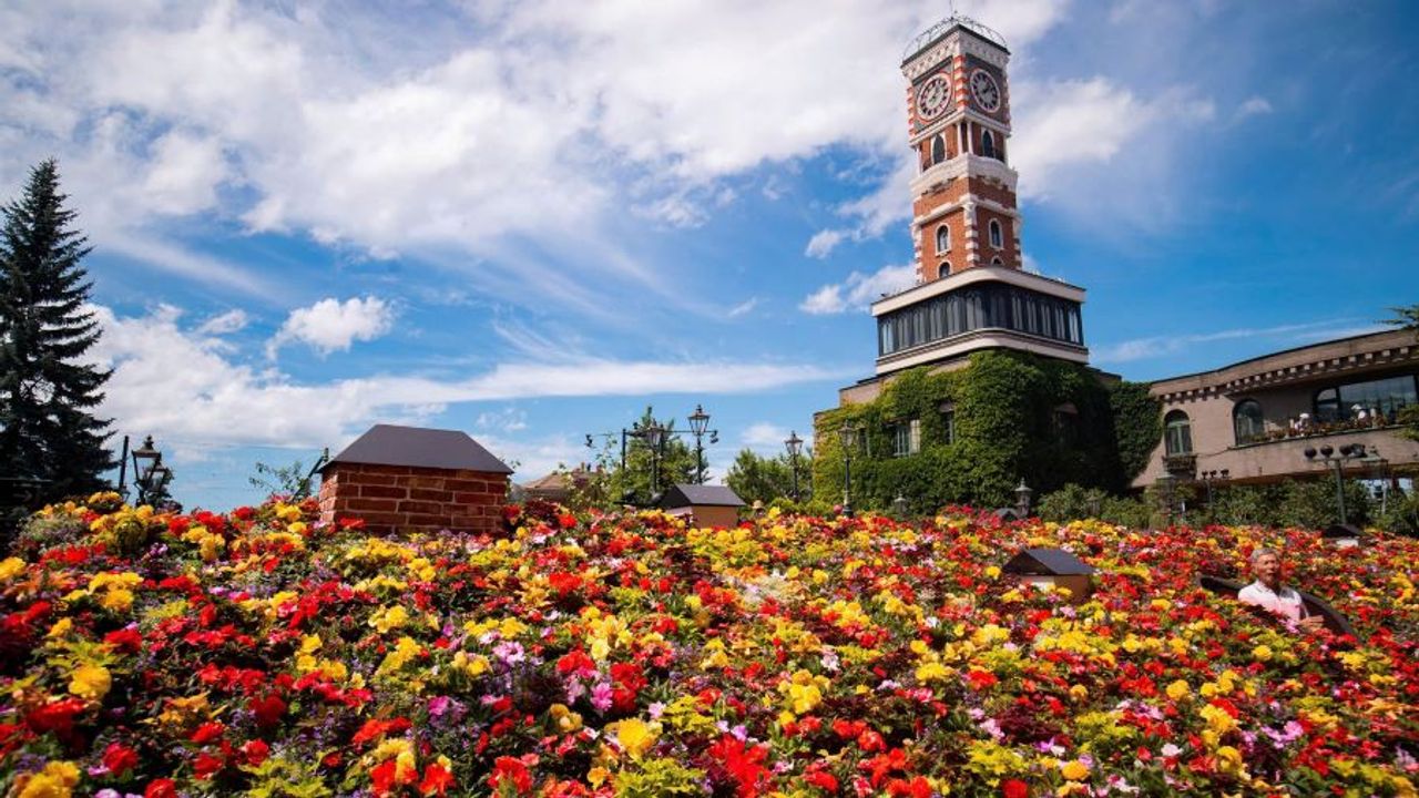 Cherry Blossom Viewing Tour in Japan: Hokkaido - Sapporo - Furano - Otaru - Toya