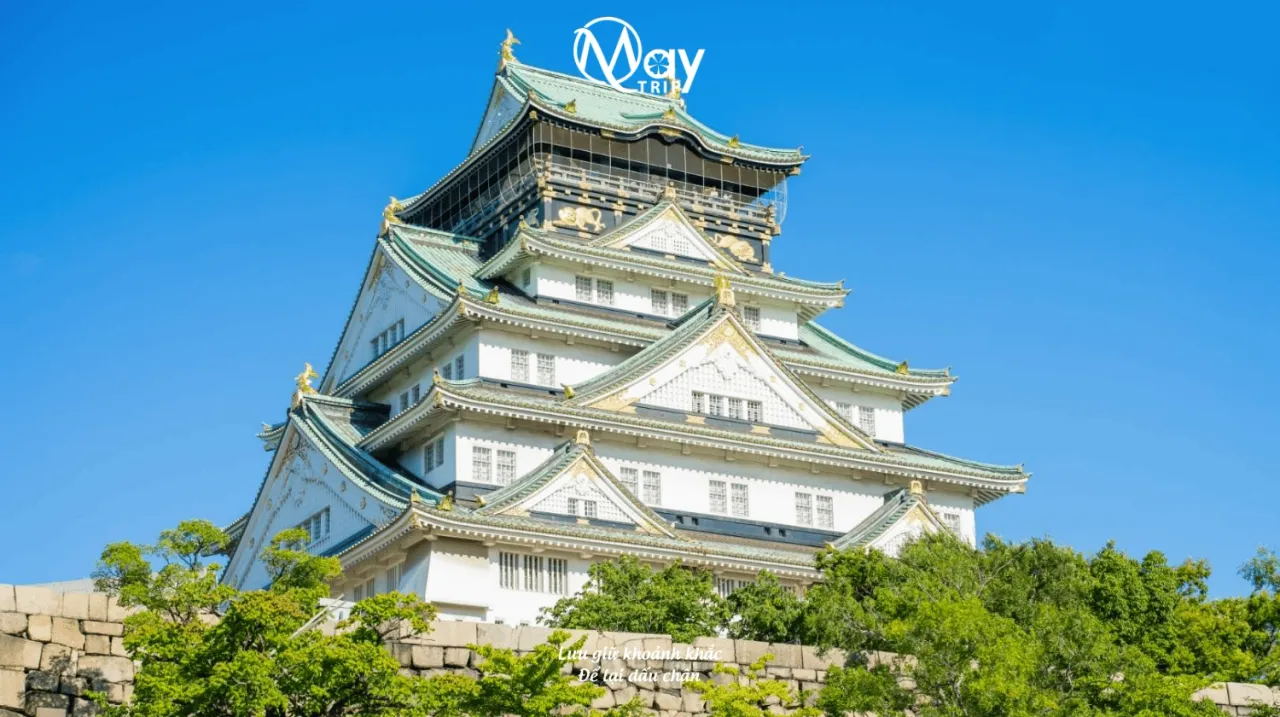 Japan Golden Route Tour: Nara – Tokyo Summer 2025