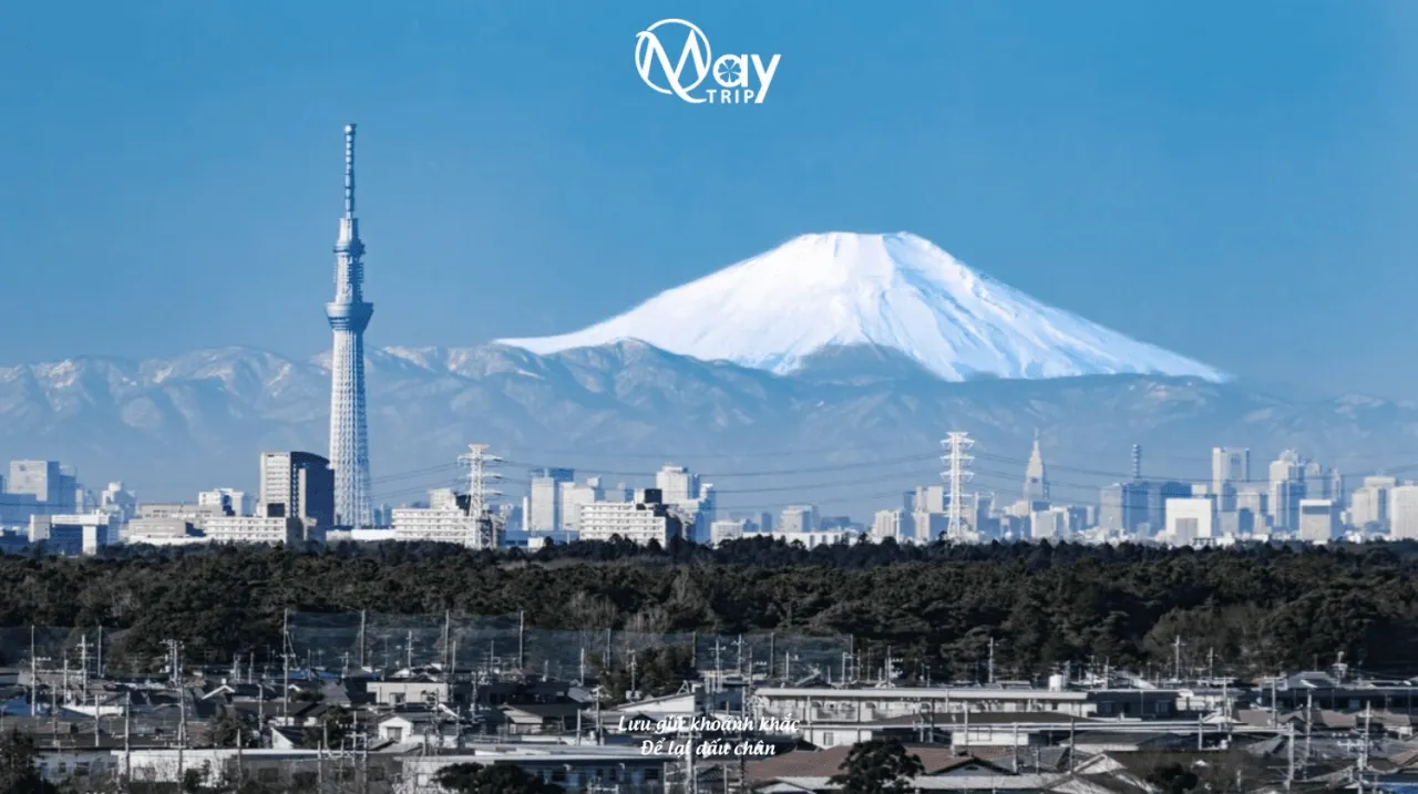 Japan Golden Route Tour: Nara – Tokyo Summer 2025