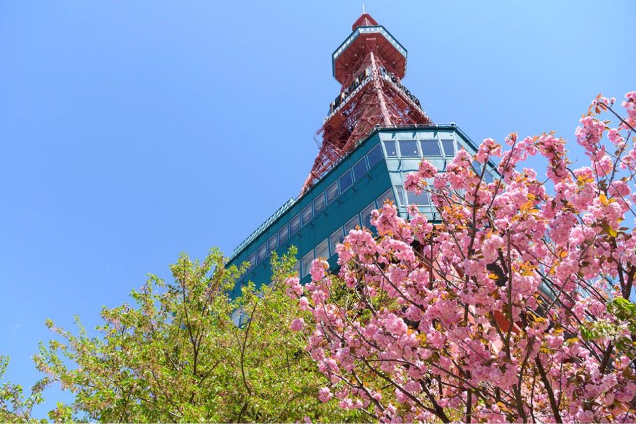 Cherry Blossom Viewing Tour in Japan: Hokkaido - Sapporo - Furano - Otaru - Toya