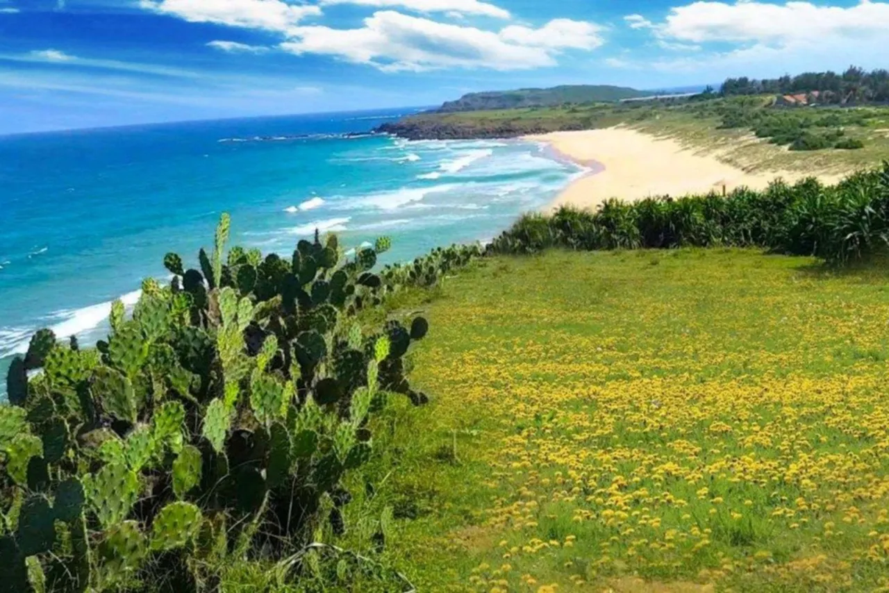 Quy Nhon - Phu Yen 3 Days 2 Nights [Pick-up at the airport]
