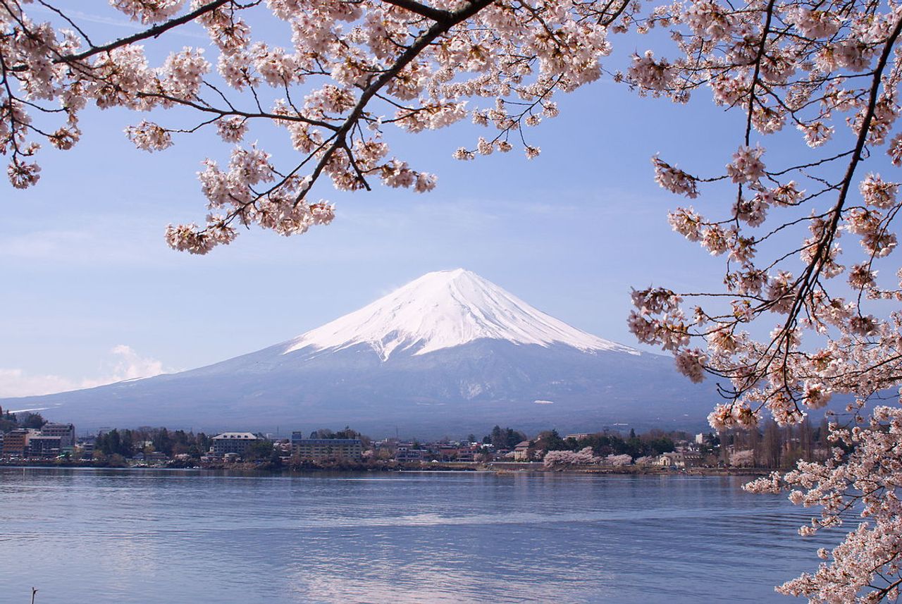Japan Cherry Blossom Tour OSAKA - KYOTO - MOUNT FUJI - TOKYO – NARITA 5 Days 5 Nights