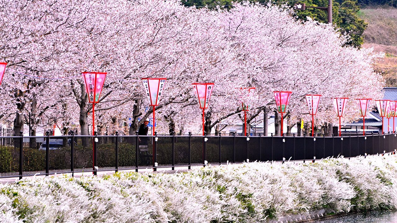 Japan Tour | Ho Chi Minh City – Tokyo – Mt. Fuji – Kyoto – Osaka (6D5N)