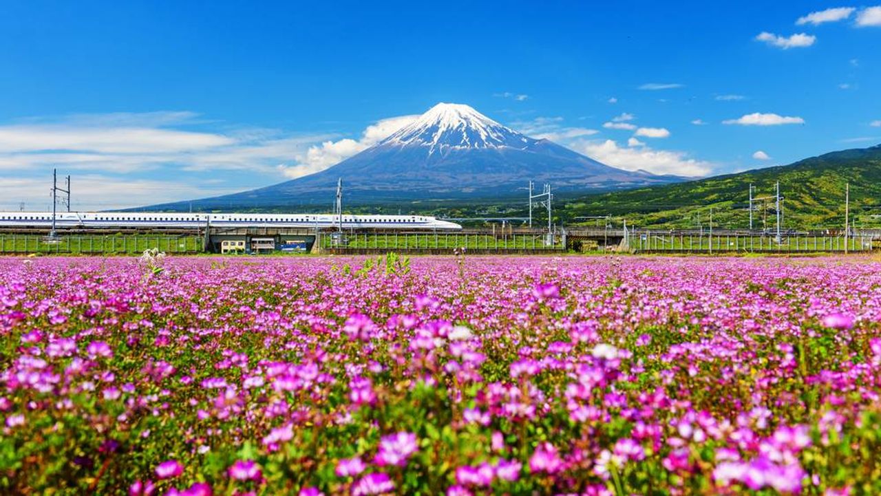 Spring Japan Tour: Narita - Tokyo - Yamanashi - Kyoto - Osaka