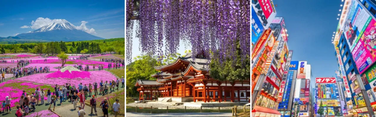 Japan Tour 5 Days 4 Nights: Yamanashi | Fuji | Tochigi | Tokyo | Narita