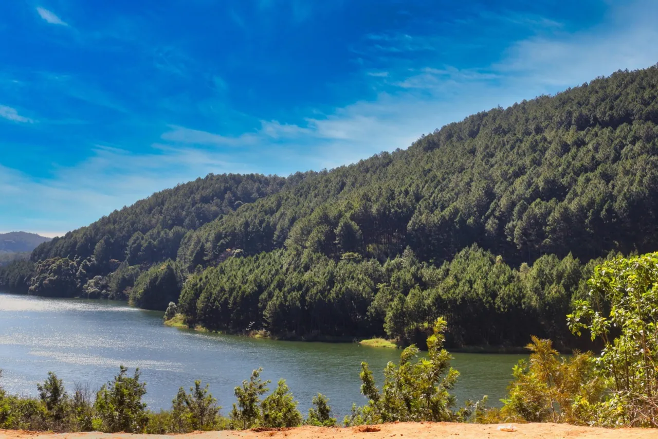 Da Lat 3 Days 2 Nights Tour: From Da Nang to Da Lat - The Land of Pine Trees The Land of Pine Trees 