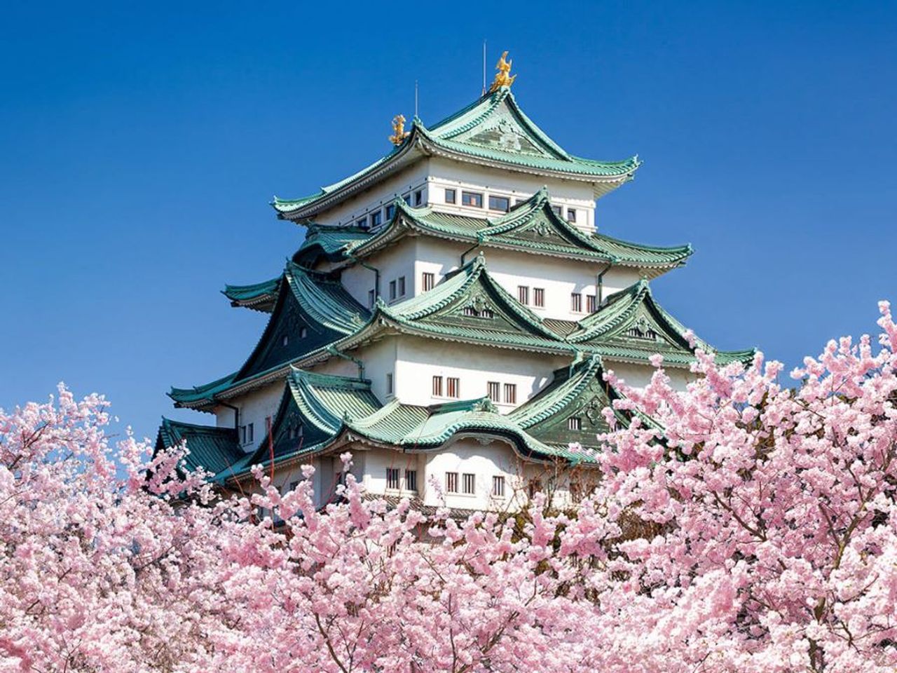 Japan Tour 2025: Nagoya - Kamikochi - Yamanashi - Fuji - Tokyo