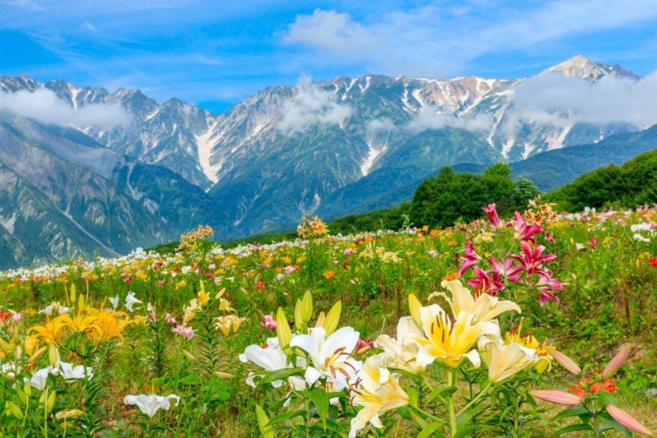 Japan Tour 2025: Nagoya - Kamikochi - Yamanashi - Fuji - Tokyo