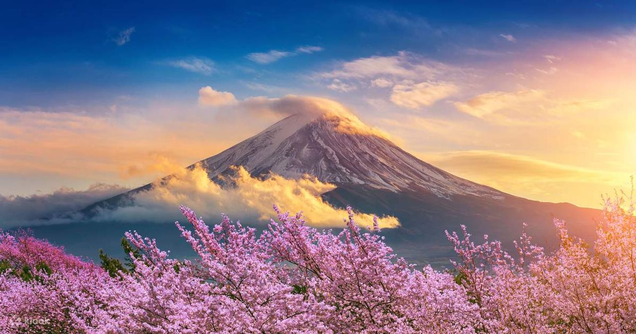 Japan Tour 5 Days 4 Nights: Yamanashi | Fuji | Tochigi | Tokyo | Narita