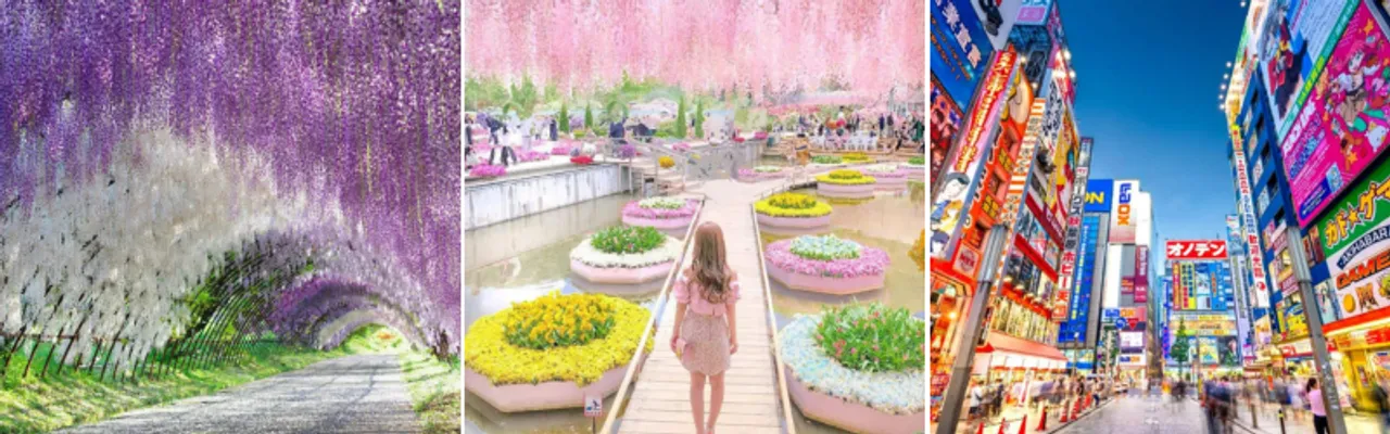 Japan Tour: Kobe | Osaka | Kyoto | Yamanashi | Tokyo