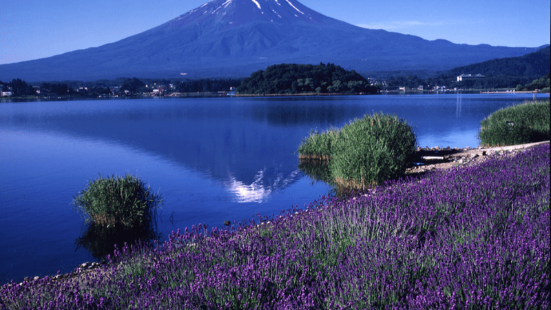 TOKYO – FUJI – NAGOYA – KYOTO – OSAKA - Image - 13603