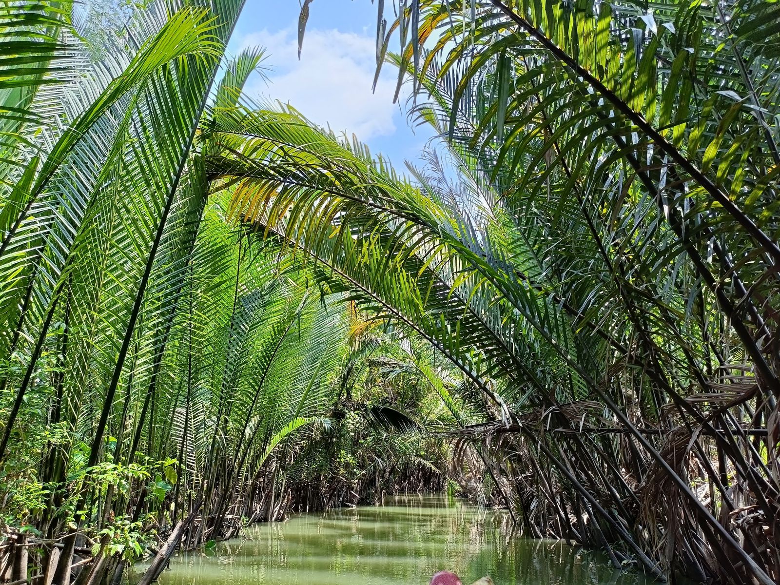 Mekong Delta 1 Day: My Tho & Thoi Son (Unicorn) Island – Luxury Small Group - Image - 17800