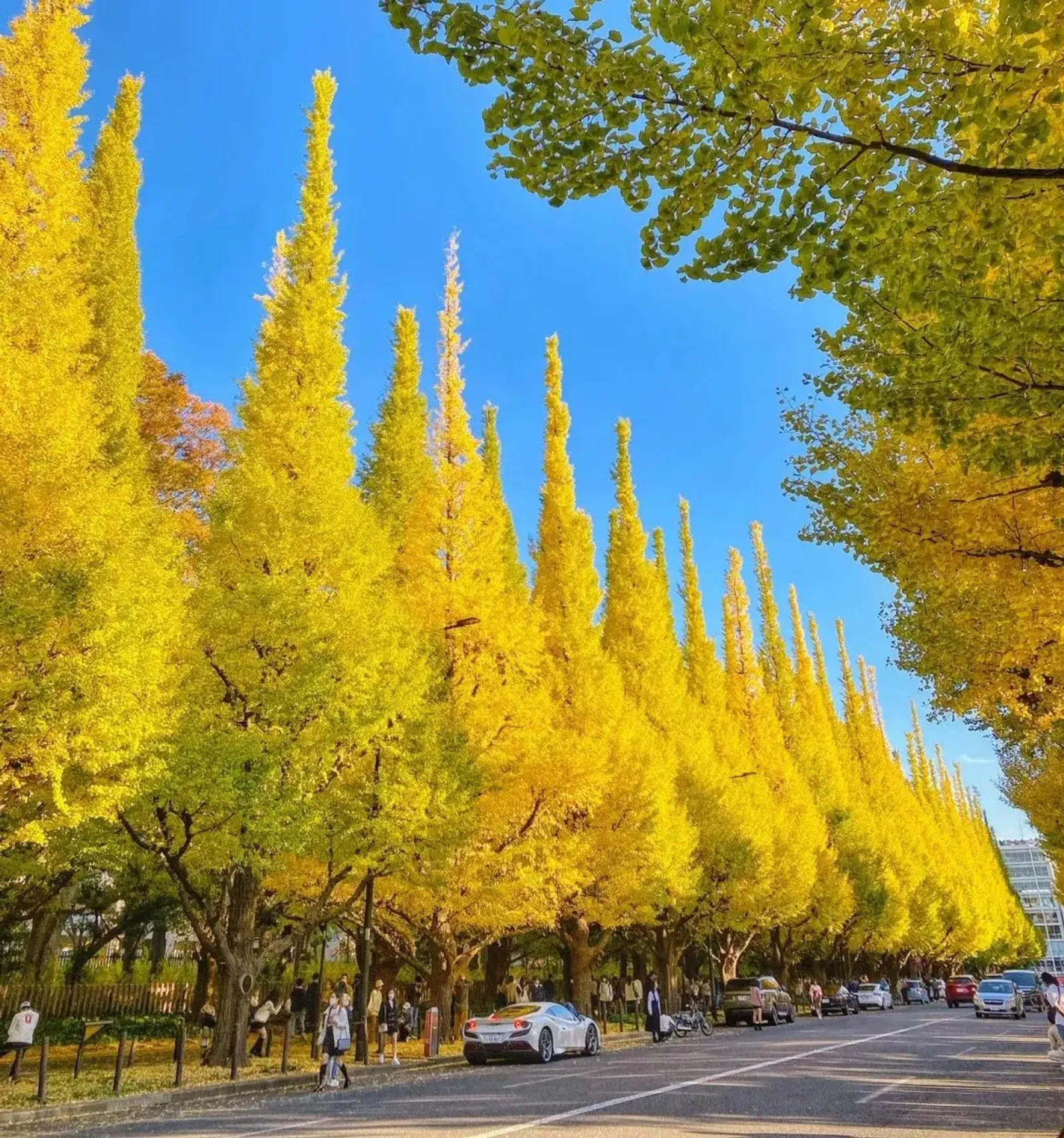 Hanoi – Tokyo – Mount Fuji – Yokohama – Odaiba Bay - Image - 522