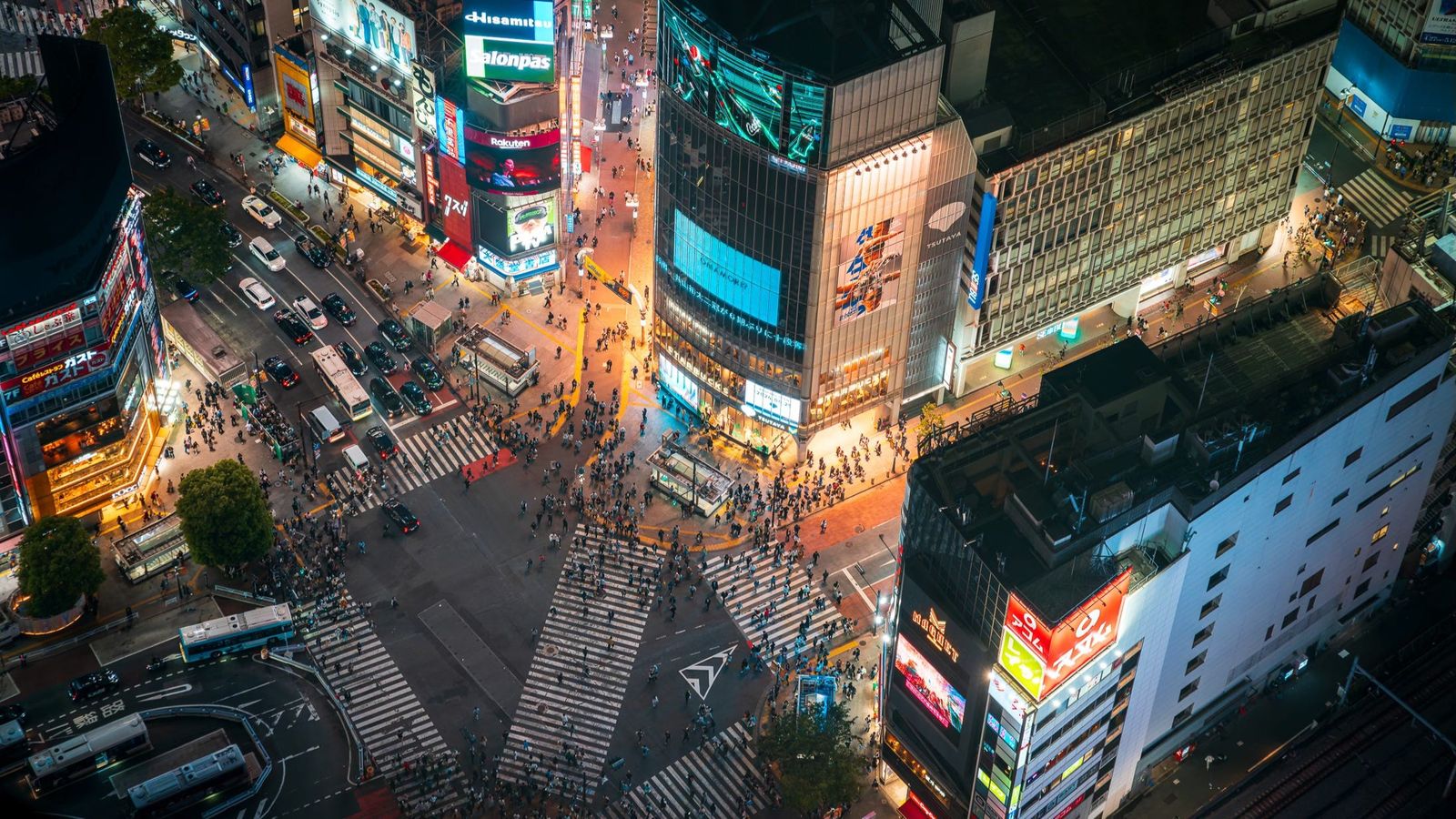 Tokyo Japan 5D4N - Image - 11696
