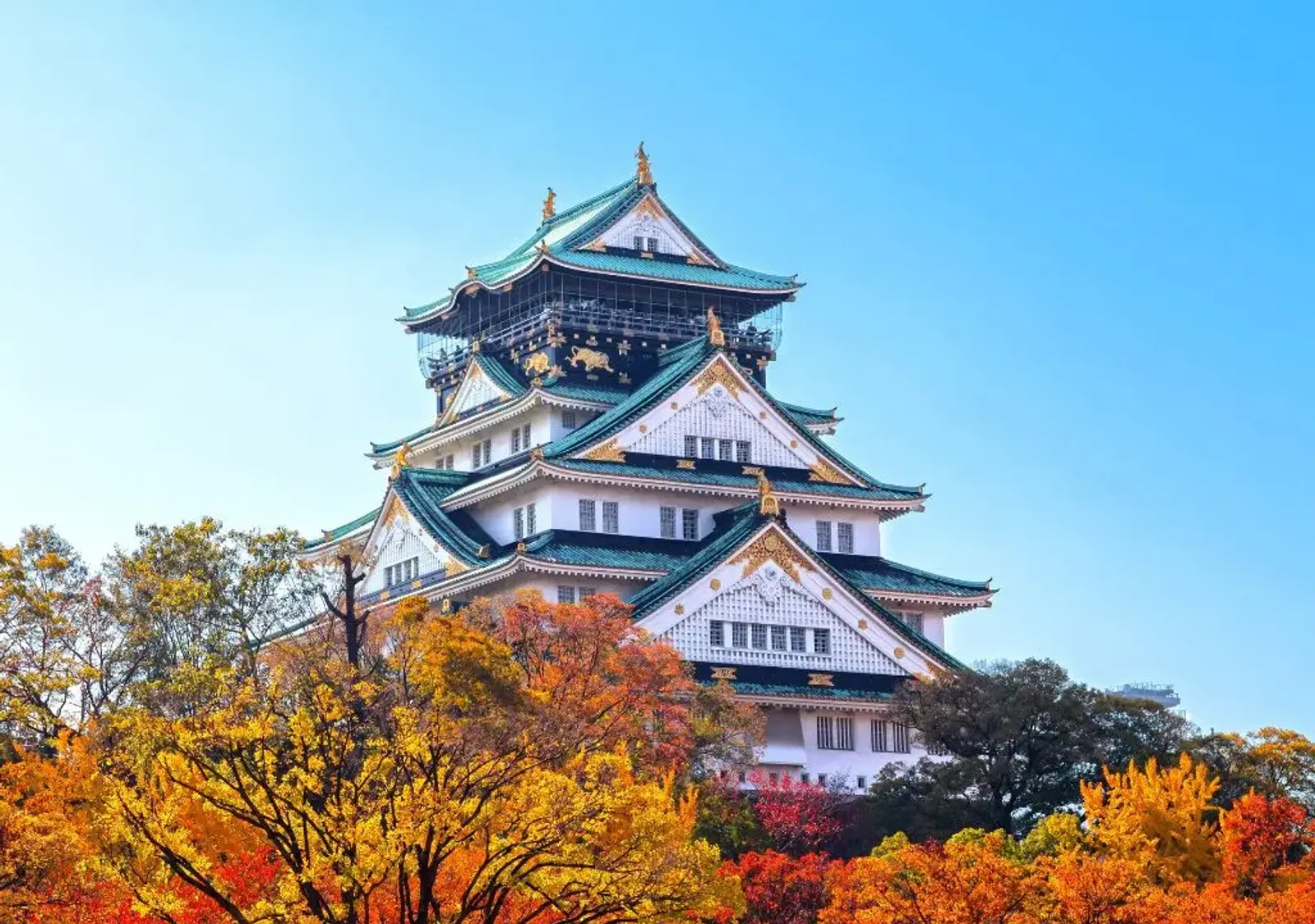 Osaka – Kobe – Kyoto – Nagoya – Mount Fuji – Tokyo - Image - 512