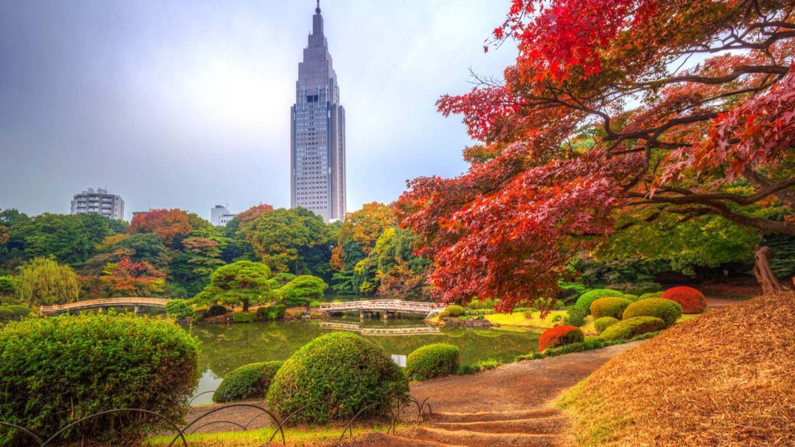 OSAKA - KOBE - KYOTO - NAGOYA - PHÚ SĨ - TOKYO [6N5Đ] - Image - 27711