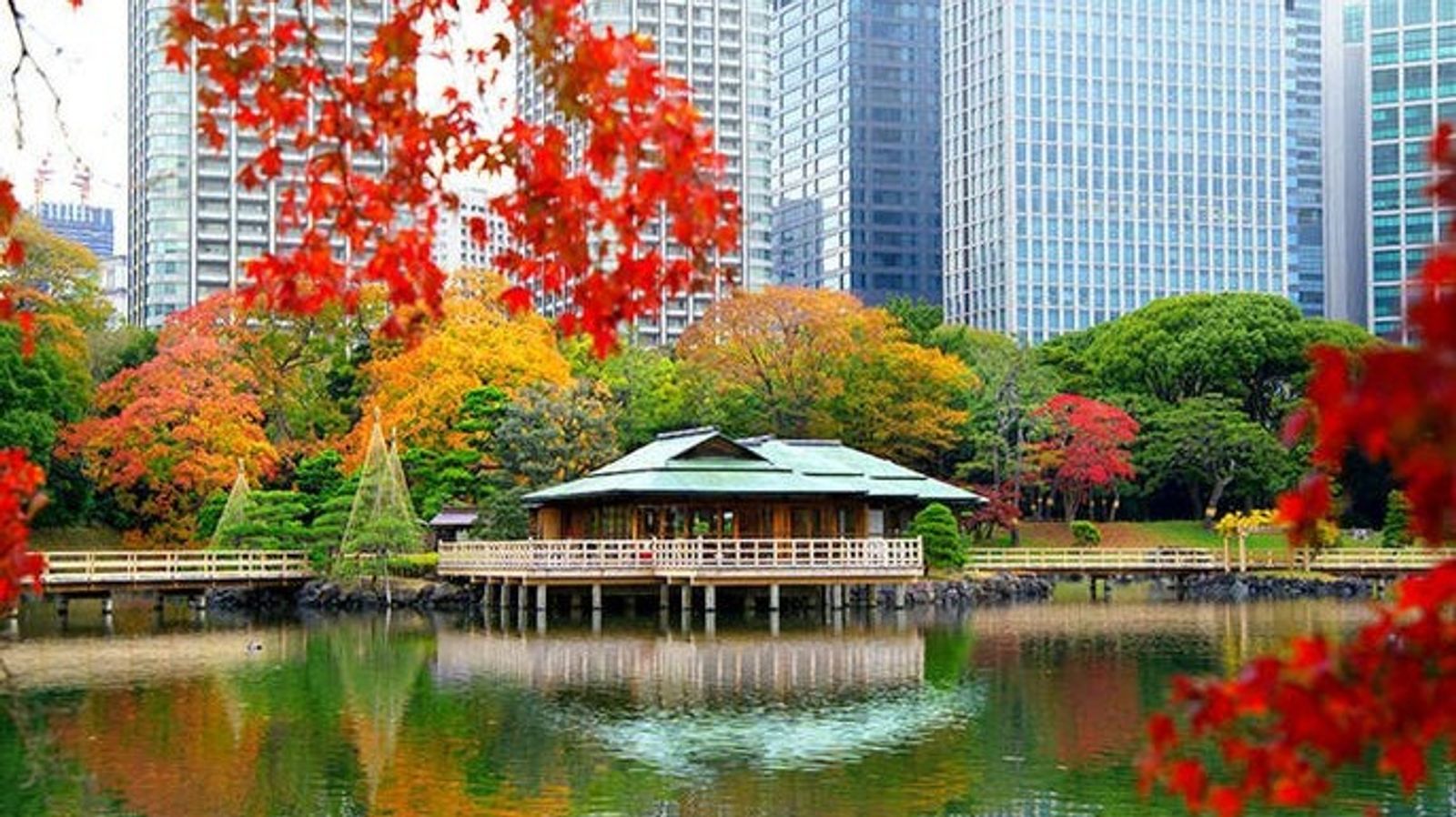 TOKYO MONO : TOKYO - FUJI - TOKYO CITY TOUR [5N4Đ] - Image - 27703