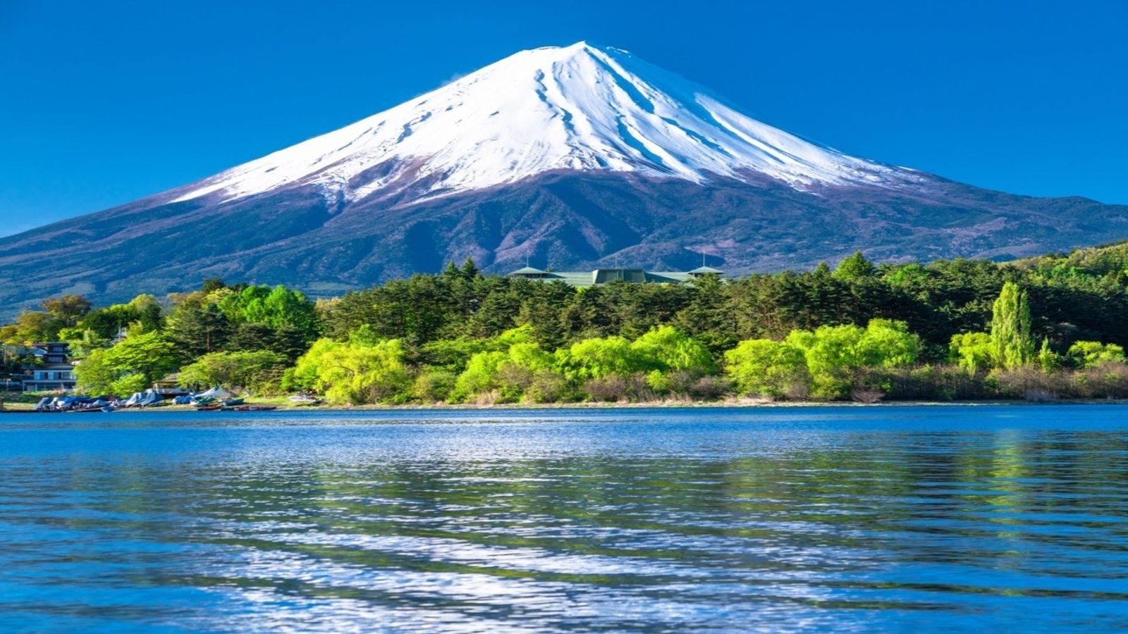 [NHẬT BẢN 5N4Đ] OSAKA - KYOTO NAGOYA - YAMANASHI - TOKYO THỦY CUNG OSAKA - DISNEYLAND - Image - 14635