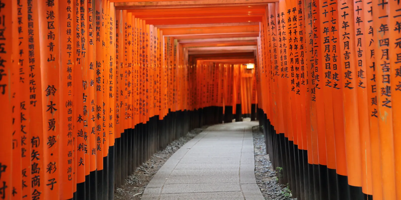 TOKYO - MOUNT FUJI - KYOTO - OSAKA - Image - 550
