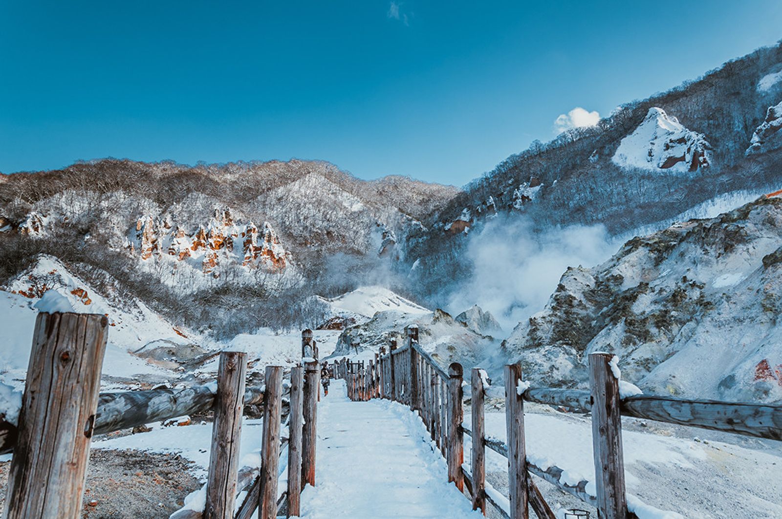 9D6/7N HOKKAIDO WINTER ESCAPE (NOV - MAR)