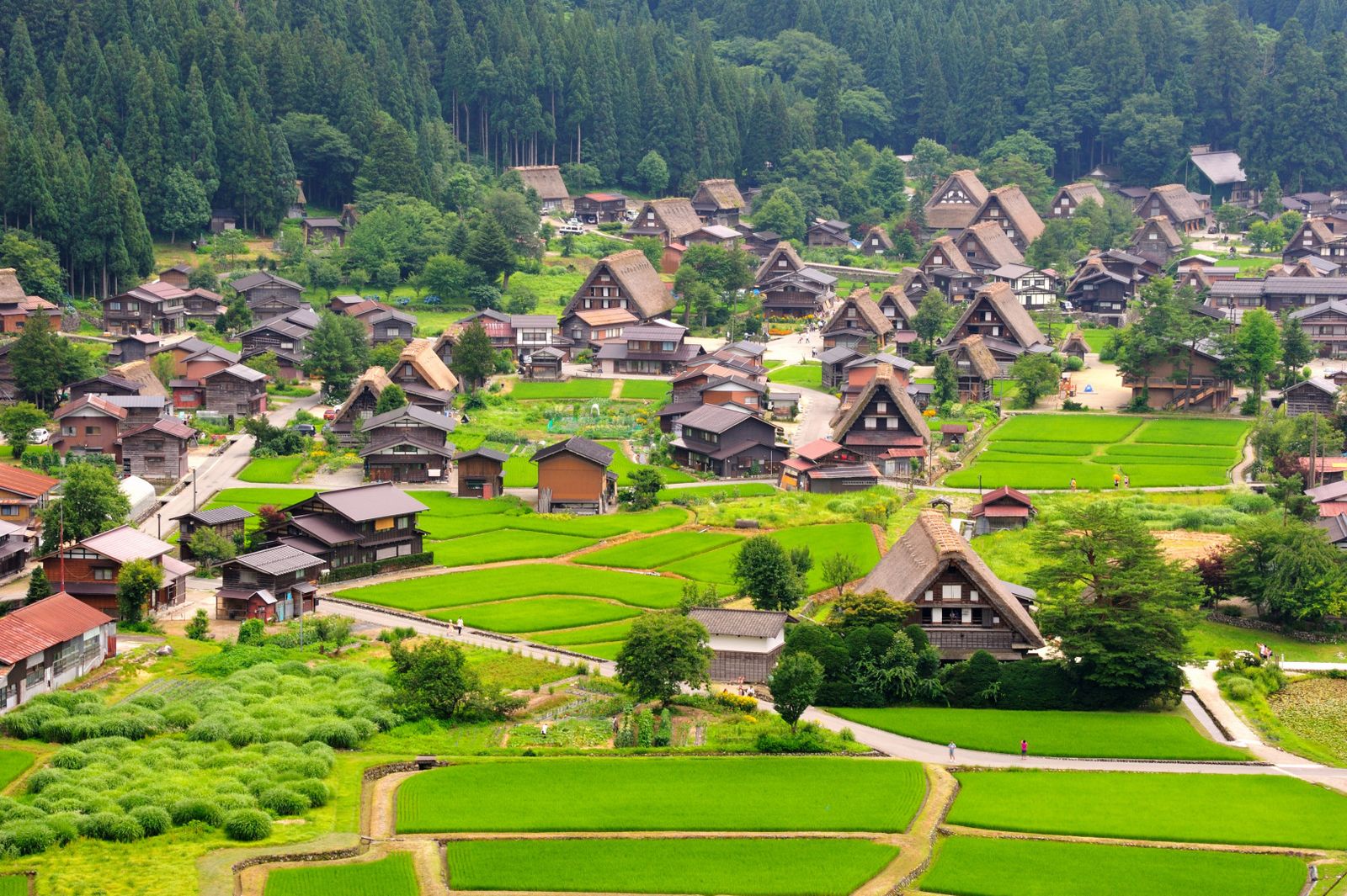8D5N BEST OF HONSHU - Image - 960