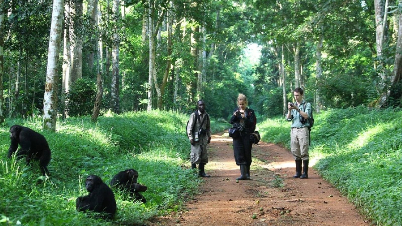 6 Days Uganda Adventure Safari - Image - 10825