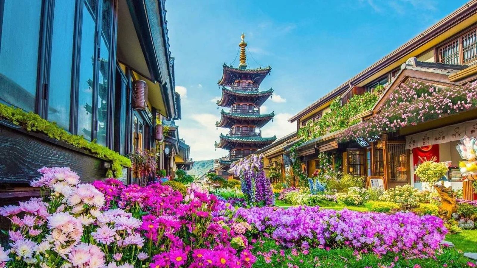 (NOSHOP) TP. HỒ CHÍ MINH - THƯỢNG HẢI - HÀNG CHÂU - Ô TRẤN - VÔ TÍCH - TÔ CHÂU - TÂN THỊ 5N4Đ - Image - 11433