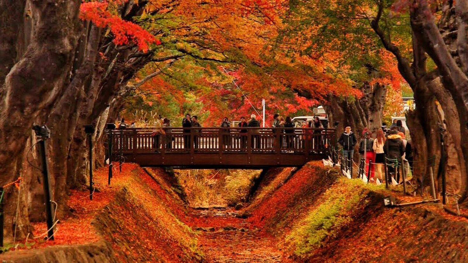 MÙA THU Ở THUNG LŨNG KAMIKOCHI 7N6Đ: Hà Nội - Osaka - Kyoto - Shirakawago - Kamikochi - Núi Phú Sĩ - Tokyo