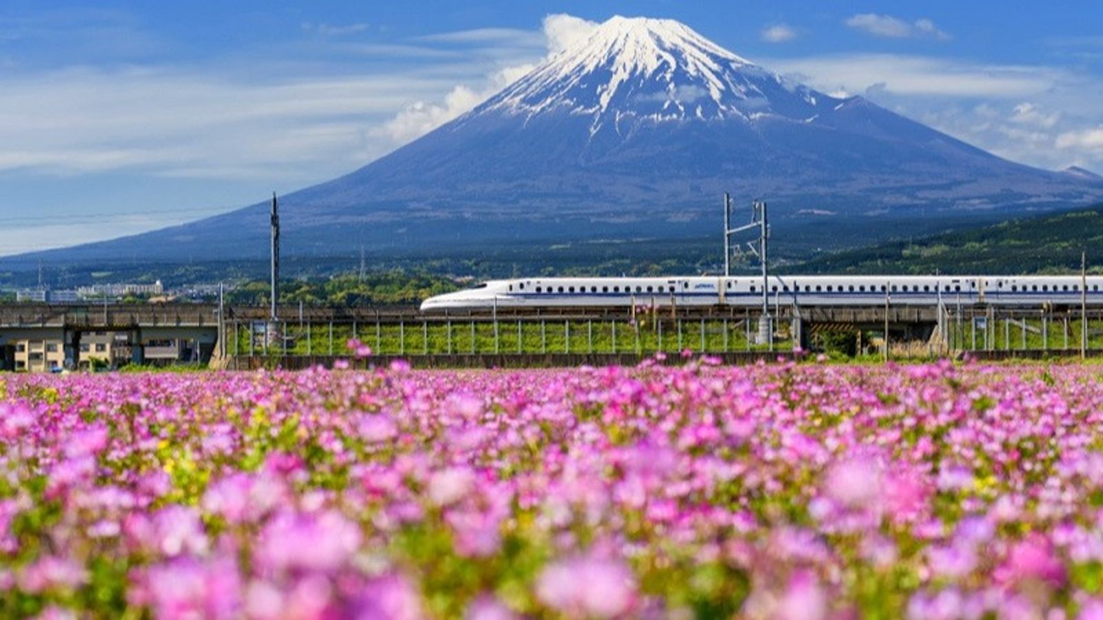[NHẬT BẢN HÈ 6N5Đ] TP HỒ CHÍ MINH - TOKYO – FUJI – NAGOYA – KYOTO – OSAKA - Image - 13339