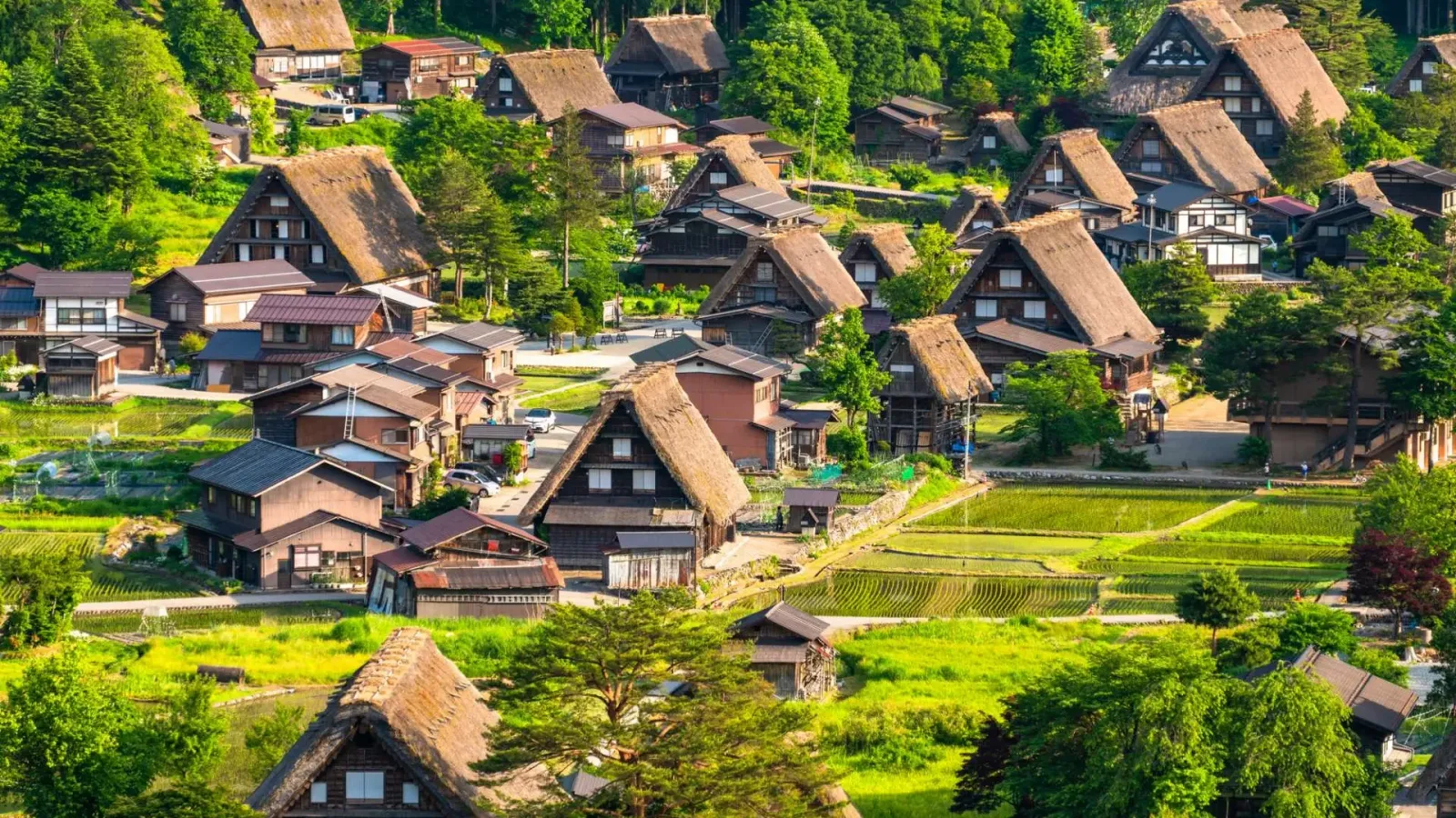 MÙA THU Ở THUNG LŨNG KAMIKOCHI 7N6Đ: Hà Nội - Osaka - Kyoto - Shirakawago - Kamikochi - Núi Phú Sĩ - Tokyo - Image - 25799