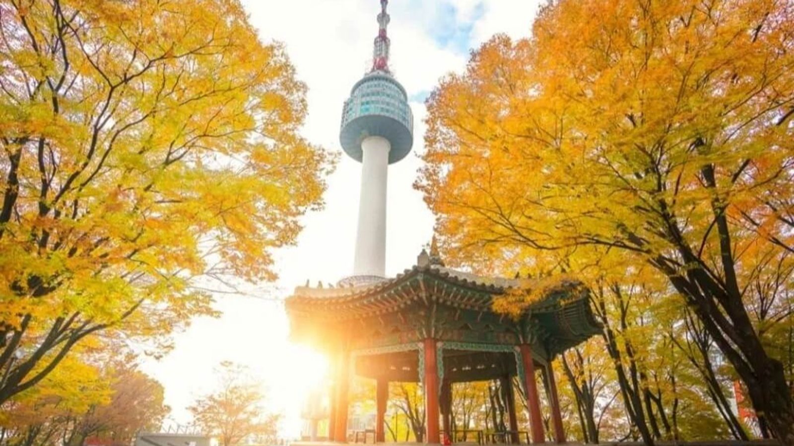 SEOUL - NAMI - EVERLAND 4N4D - NOSHOP - Image - 27747