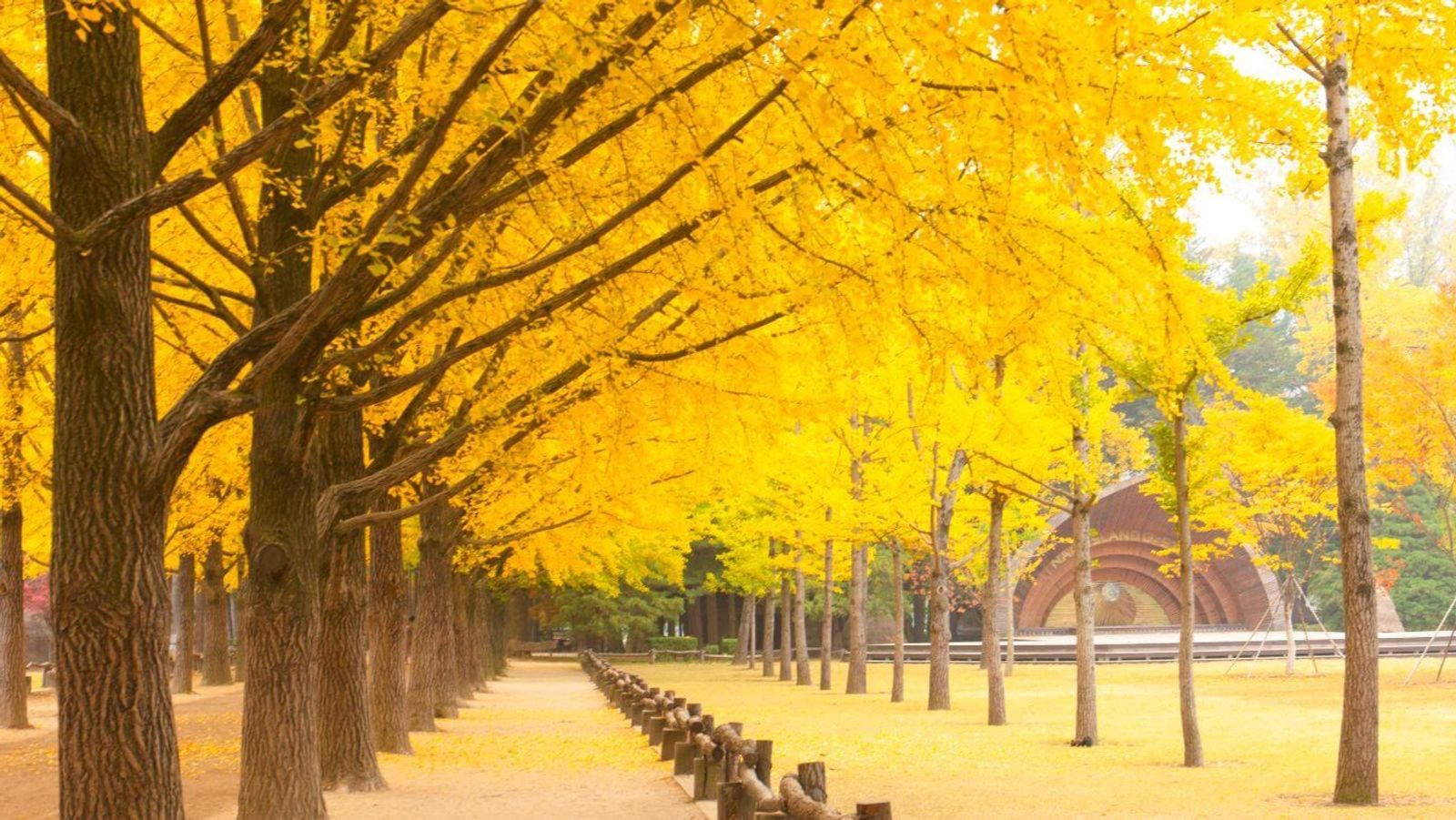 SEOUL - NAMI - EVERLAND 4N4D - NOSHOP - Image - 27750