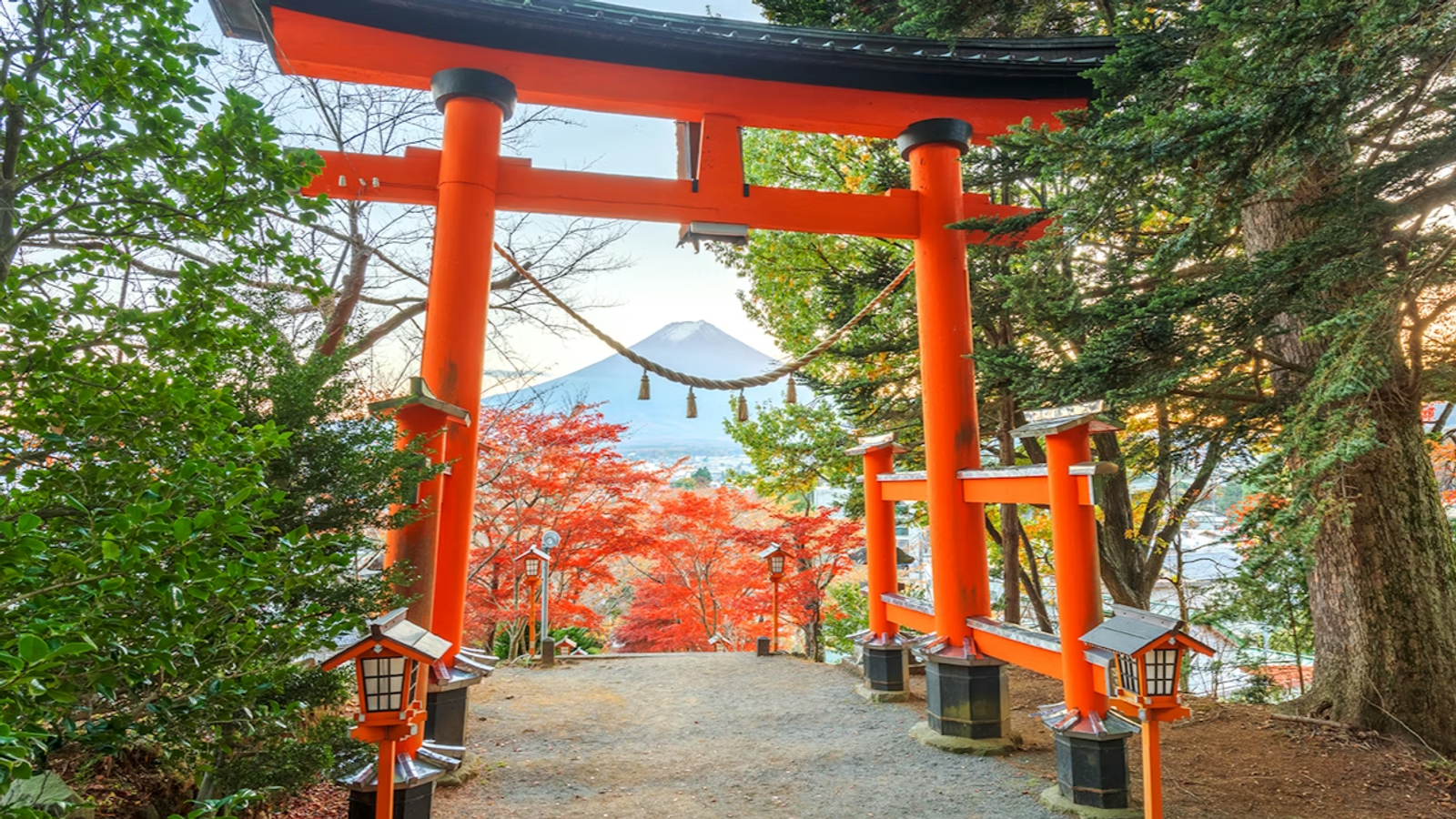 Tokyo Japan 5D4N - Image - 11698