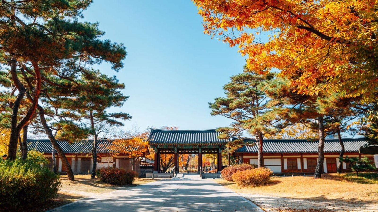 SEOUL - NAMI - EVERLAND 4N4D - NOSHOP