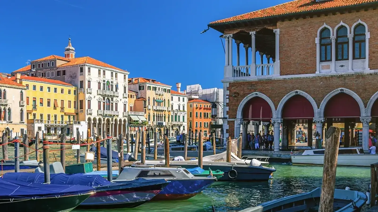 Venice's Treasures: Guided Tour