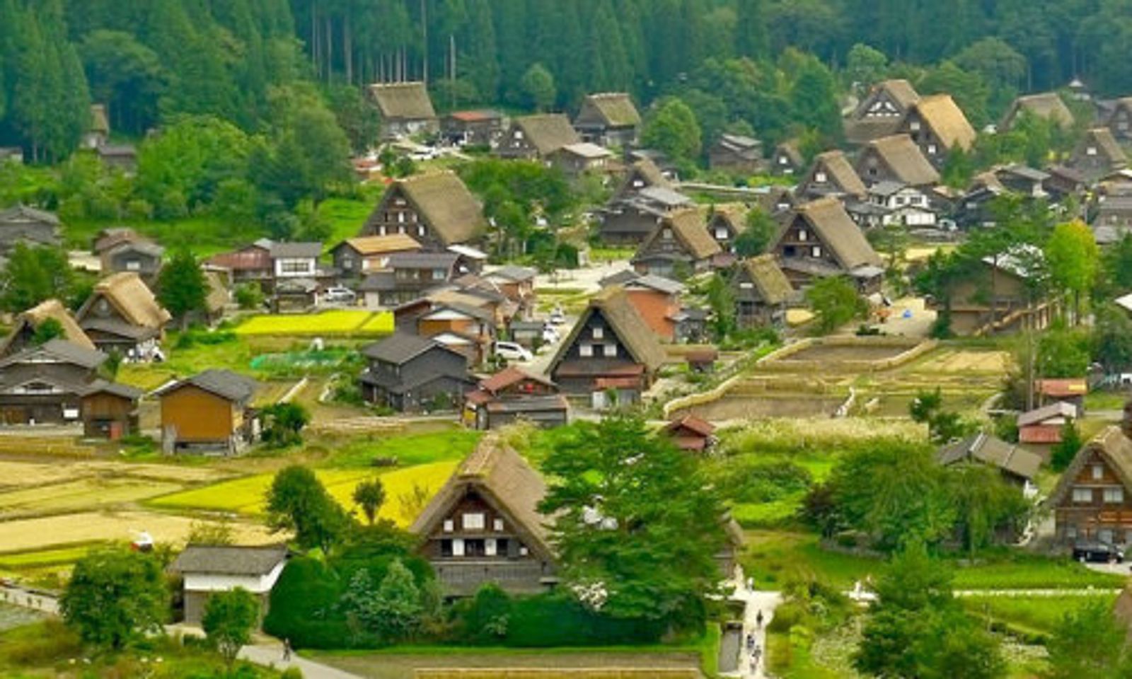 7DAYS 6NIGHTS CENTRAL JAPAN - SHIRAKAWAGO - Image - 942