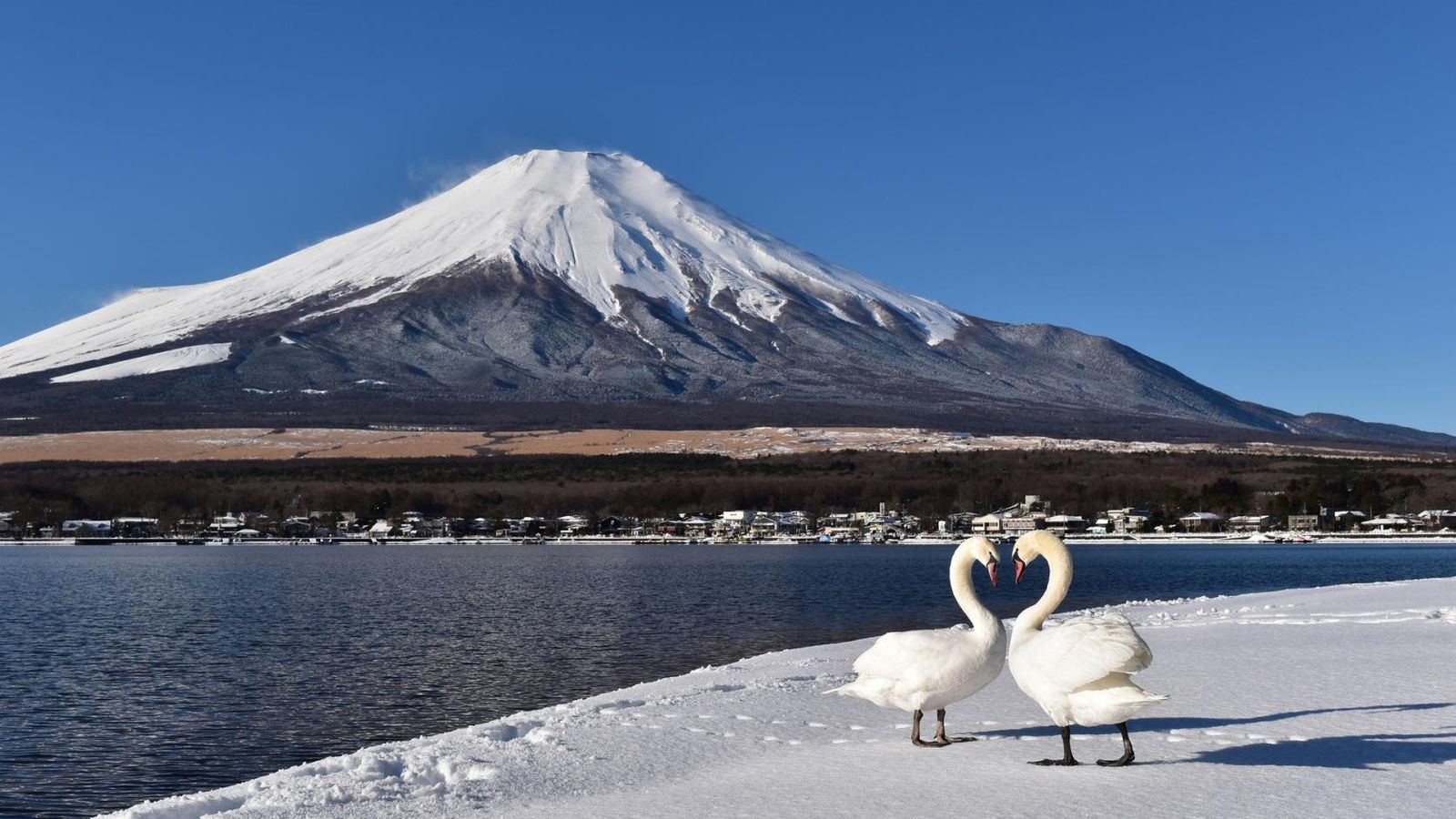 [NHẬT BẢN HÈ 6N5Đ] TP HỒ CHÍ MINH - TOKYO – FUJI – NAGOYA – KYOTO – OSAKA - Image - 13344