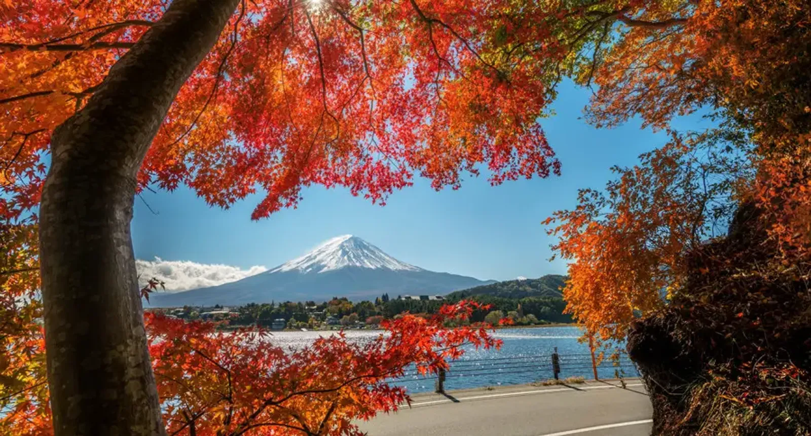 Japan's Golden Route: Tokyo - Fuji - Nagoya - Kyoto - Kobe - Osaka - Image - 574