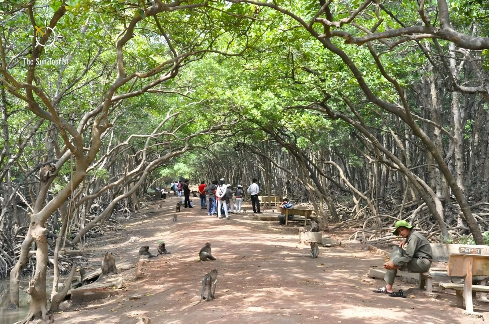 Can Gio – Monkey Island Full Day - Image - 17726