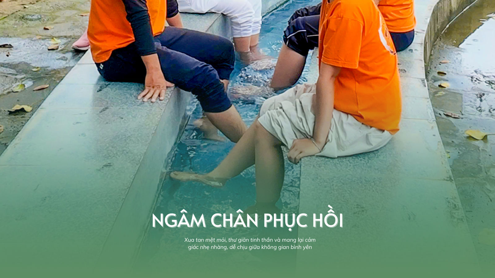 HÀNH TRÌNH NGUỒN TỊNH - KẾT NỐI CÙNG THIÊN NHIÊN - Image - 12018