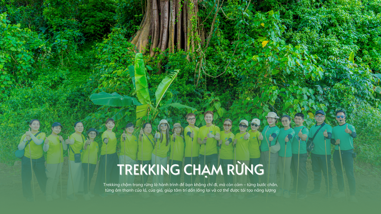 HÀNH TRÌNH TĨNH TẠI – LẮNG NGHE CHÍNH MÌNH - Image - 12189