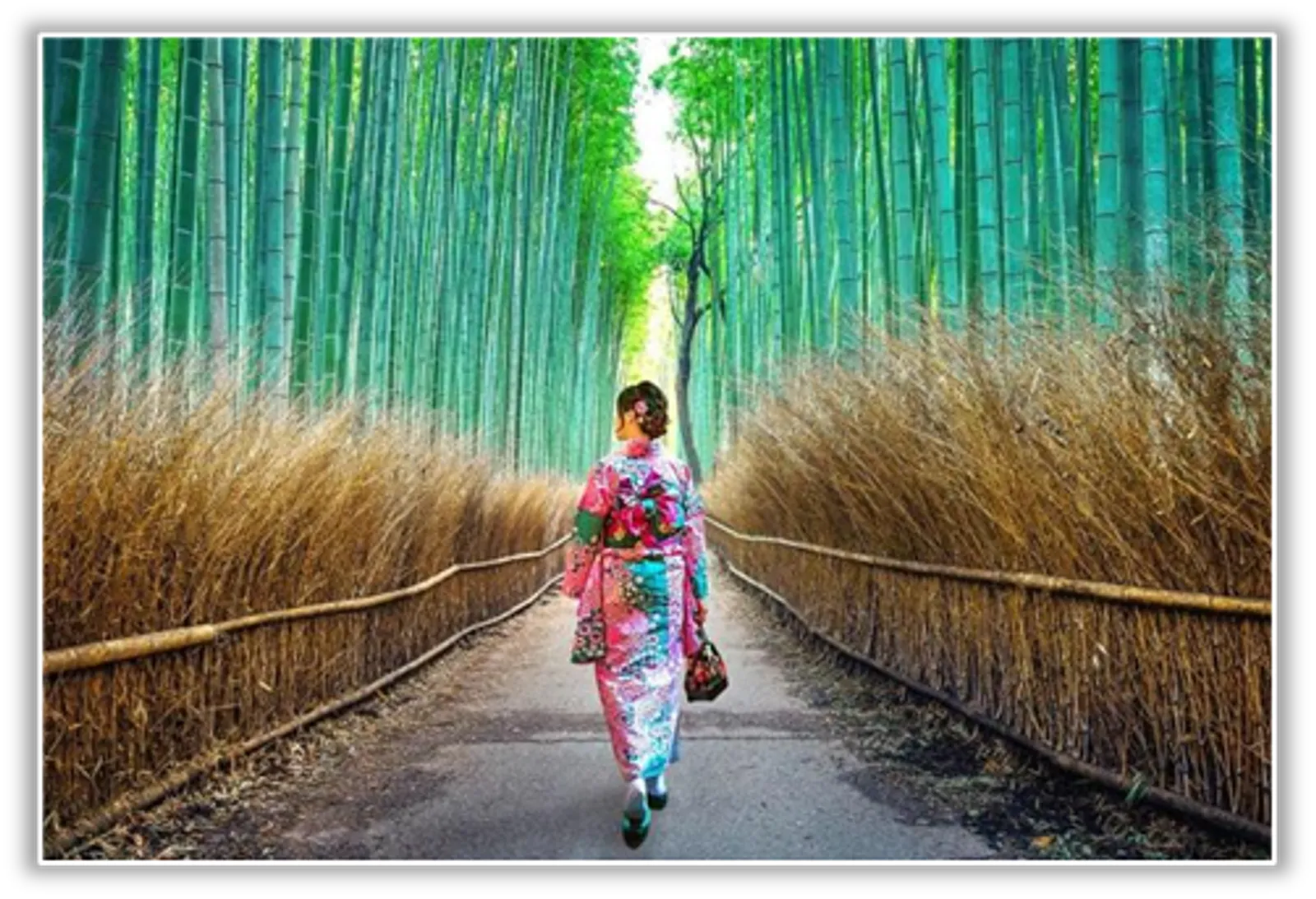 Tour Nhật Bản Cung Đường Vàng 5 Ngày 5 Đêm [khởi hành từ Hà Nội] - Image - 859