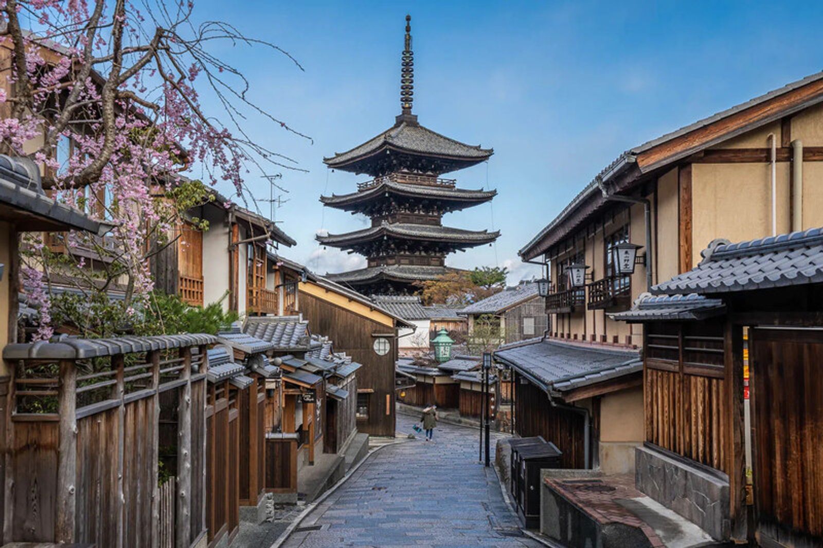 Japan Cherry Blossom Tour OSAKA - KYOTO - MOUNT FUJI - TOKYO – NARITA 5 Days 5 Nights - Image - 230