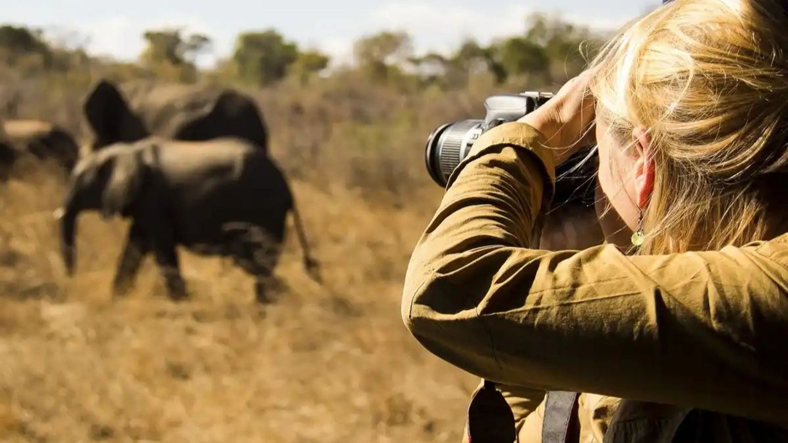 3-Day Mid Range Safari - Serengeti and Ngorongoro Crater - Image - 8483